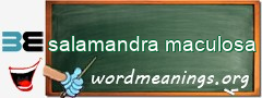 WordMeaning blackboard for salamandra maculosa